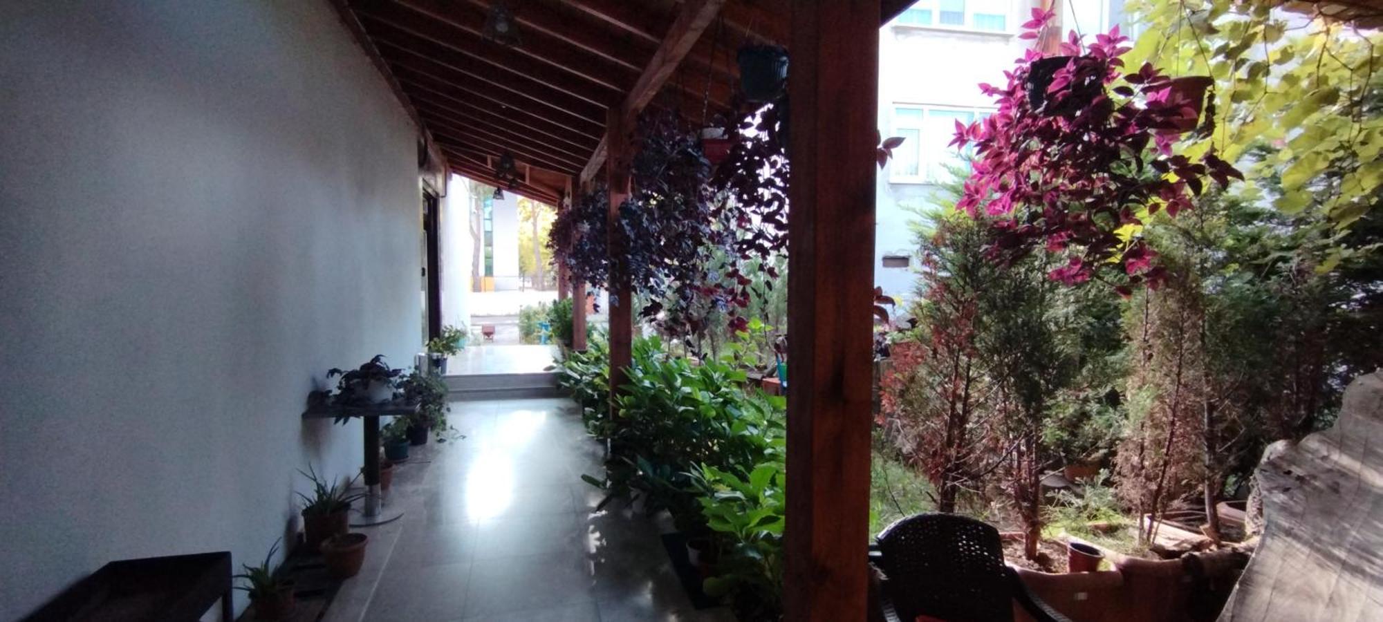 Ceneviz Suit Hotel Akçakoca Extérieur photo